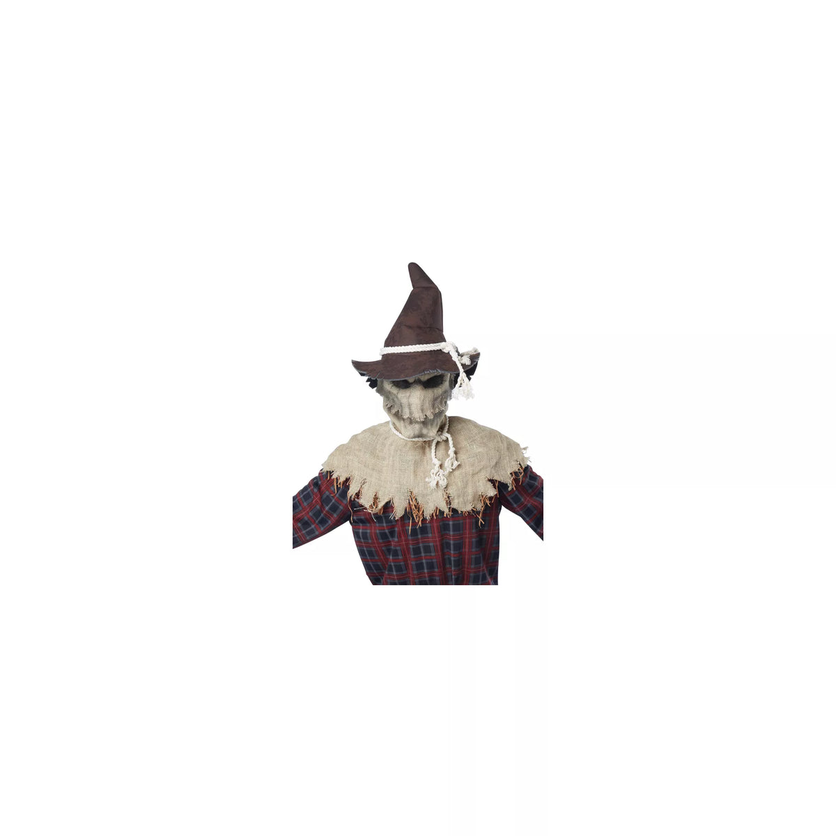 Animotion Scarecrow Full Mask