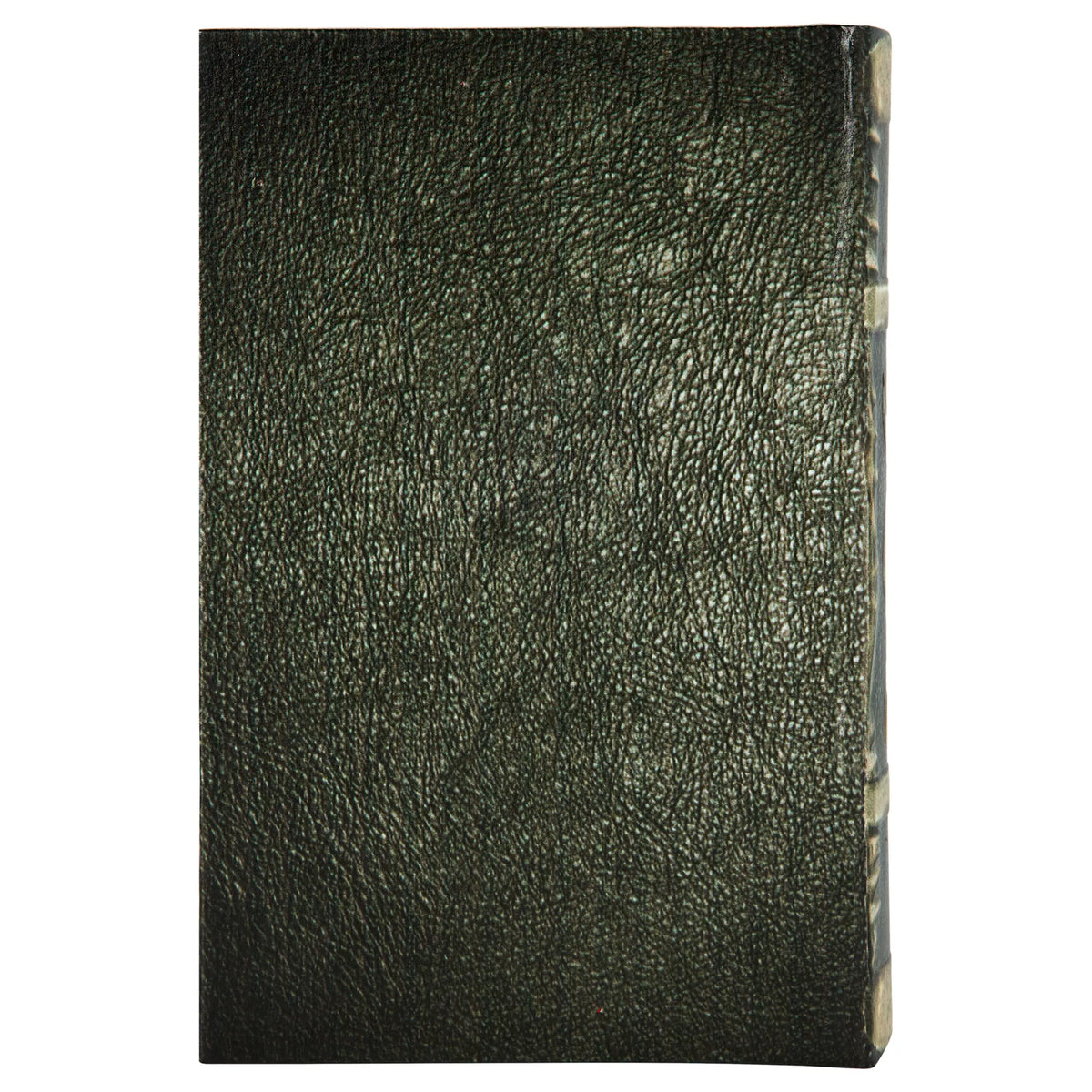 Mystical Ram Book Box